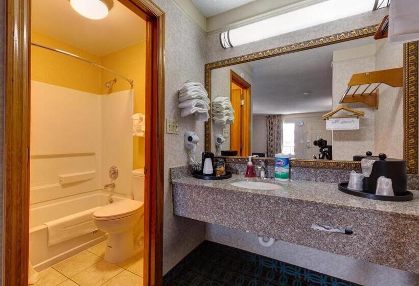 Стандартный Номер Кровать Кинг, Deluxe Inn   Fayetteville I 95