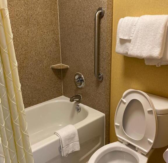 חדר בסיסי לשלושה, Deluxe Inn   Fayetteville I 95