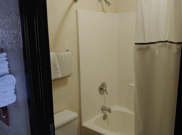 غرفه قياسيه سريرين مزدوجين, The New Pioneer