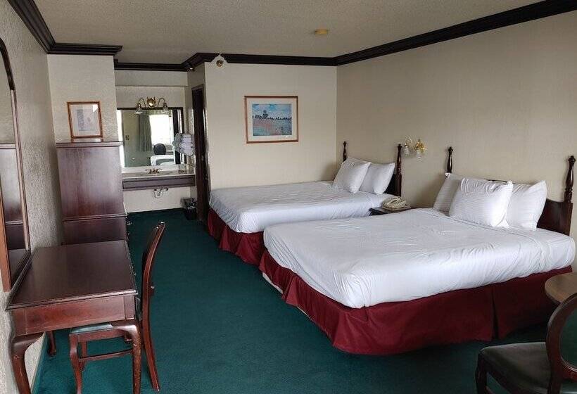 غرفه قياسيه سريرين مزدوجين, The New Pioneer