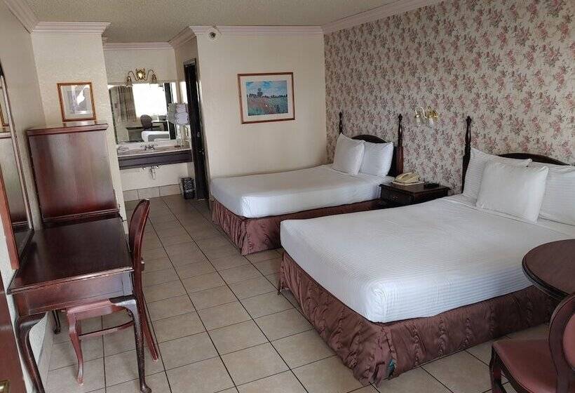 غرفه قياسيه سريرين مزدوجين, The New Pioneer