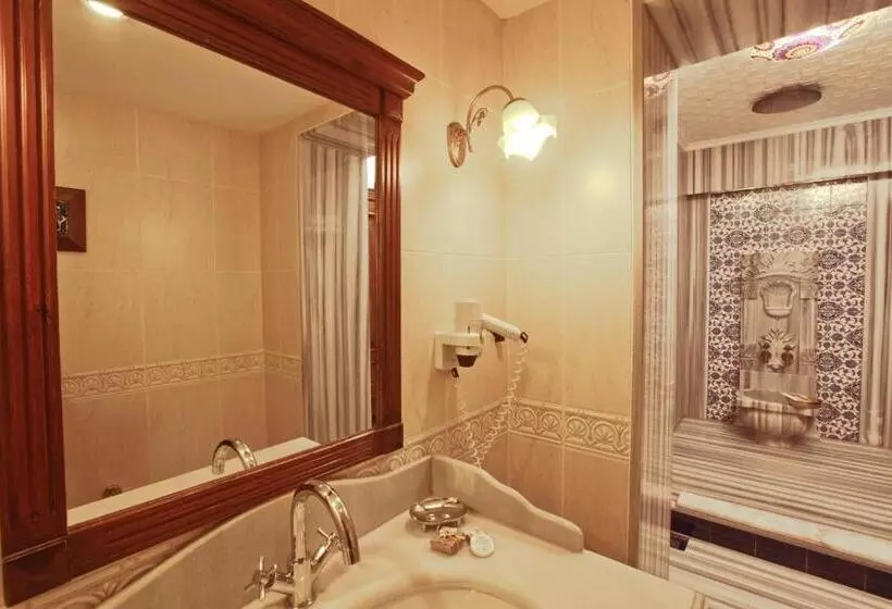 اتاق استاندارد در طبقه همکف, Dersaadet Hotel Istanbul