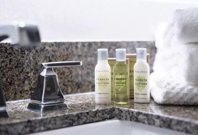 バルコニー付スイート, Desmond Hotel Malvern, A Doubletree By Hilton