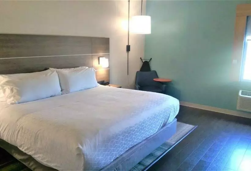 اتاق استاندارد با تخت بزرگ, Holiday Inn Express Myrtle Beach Broadway At The Beach, An Ihg