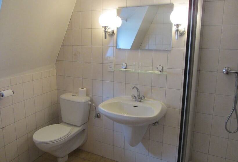 Номер Стандарт, Hôtel Restaurant Le Brochet