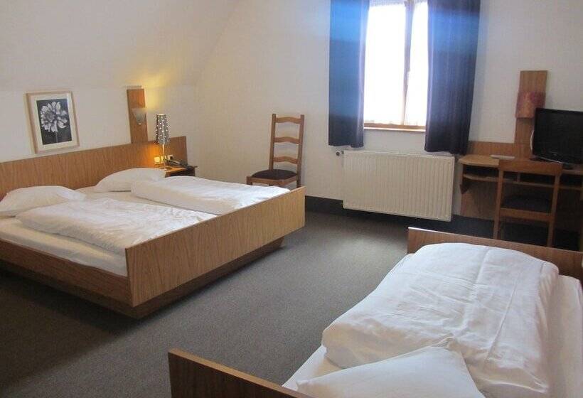 Номер Стандарт Трехместный, Hôtel Restaurant Le Brochet