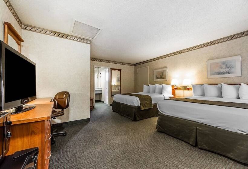 غرفه قياسيه سريرين مزدوجين, Quality Inn & Suites Silicon Valley
