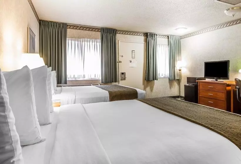 اتاق استاندارد با 2 تخت دوبل, Quality Inn & Suites Silicon Valley
