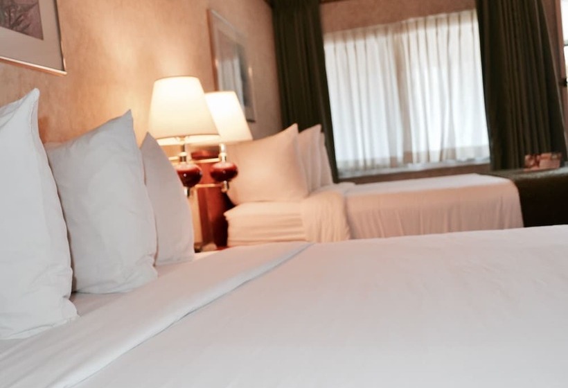 غرفه قياسيه سريرين مزدوجين, Quality Inn & Suites Silicon Valley