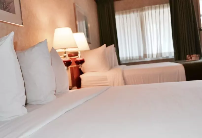اتاق استاندارد با 2 تخت دوبل, Quality Inn & Suites Silicon Valley