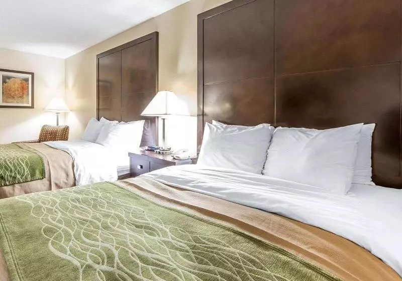 سوییت اجرایی, Sheraton Mar Del Plata
