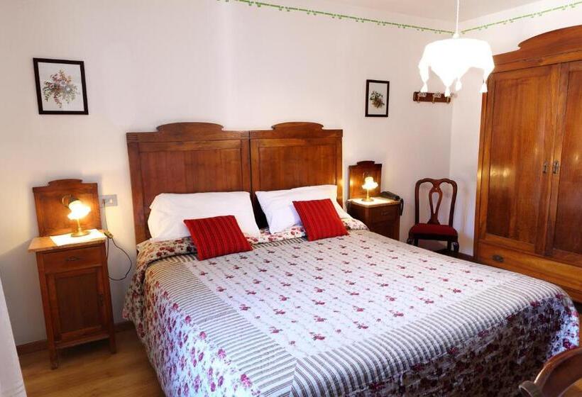 Номер Стандарт, Wanda