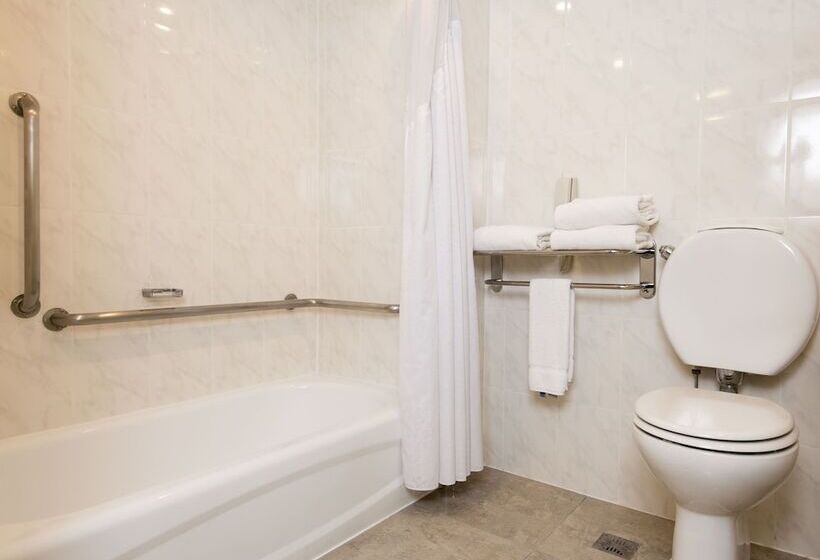 اتاق استاندارد با تخت دوبل, Holiday Inn Express Puerto Madero, An Ihg