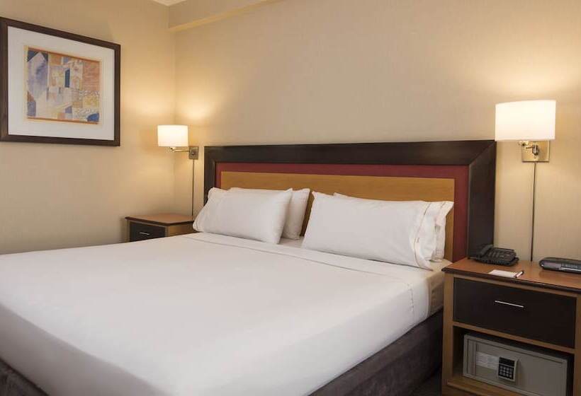 اتاق استاندارد, Holiday Inn Express Puerto Madero, An Ihg
