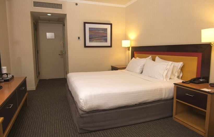 اتاق استاندارد, Holiday Inn Express Puerto Madero, An Ihg