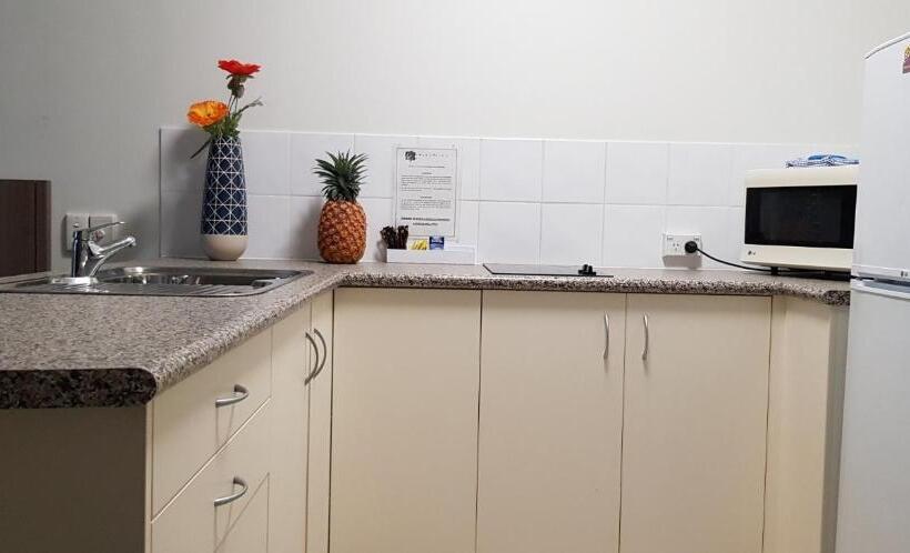 标准工作室, Reef Palms