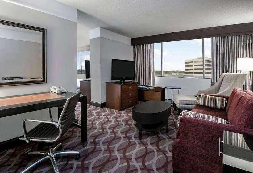 اتاق استاندارد با تخت بزرگ, Hilton Vienna Plaza