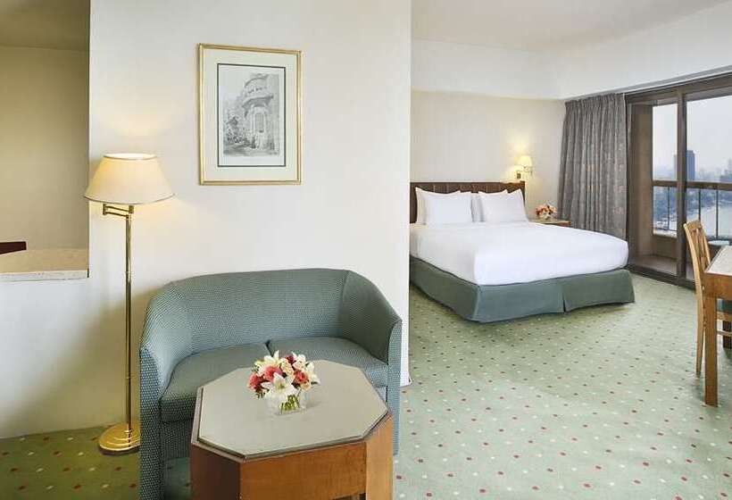 스탠다드 룸 킹사이즈 침대, Hilton Vienna Plaza