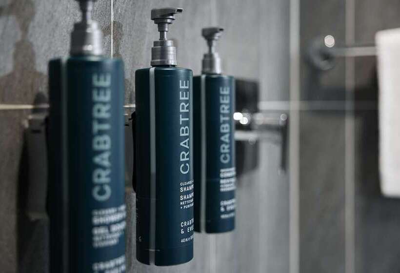 اتاق اجرایی, Hilton Vienna Plaza