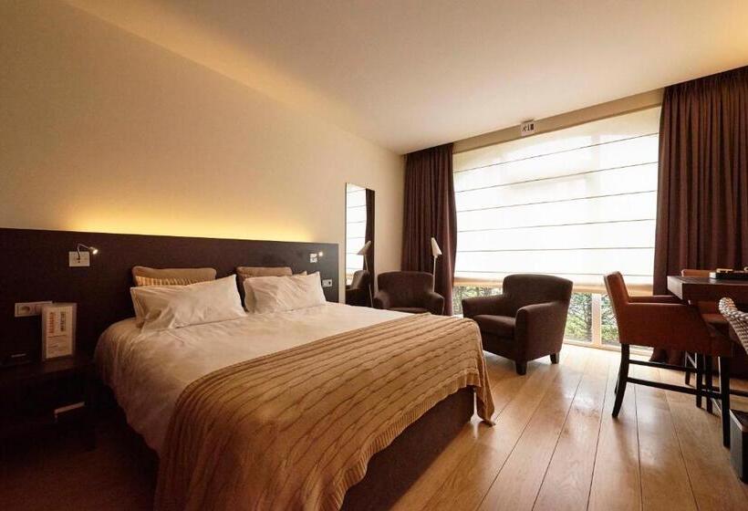 غرفة قياسية, Ariane