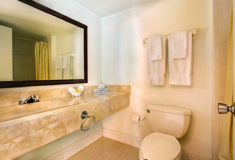 スタンダードルーム, Viva Fortuna Beach By Wyndham, A Trademark All Inclusive