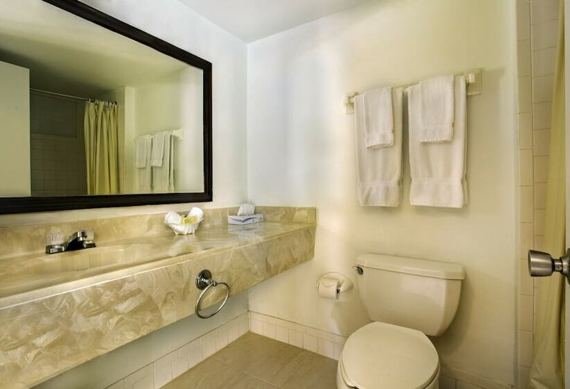 クイーンベッドのスーペリアルーム, Viva Fortuna Beach By Wyndham, A Trademark All Inclusive