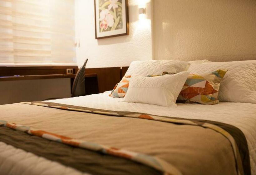 标准单人间, Cortez