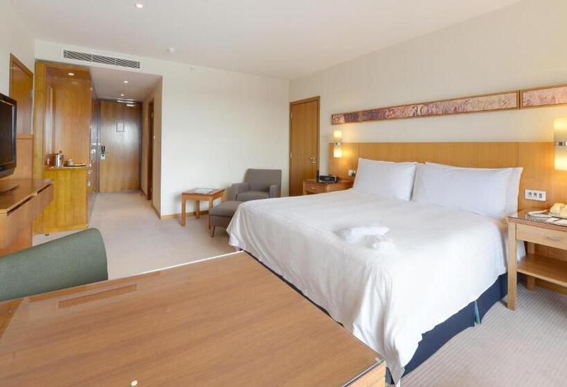 غرفة ديلوكس سرير كينج, Canary Riverside Plaza