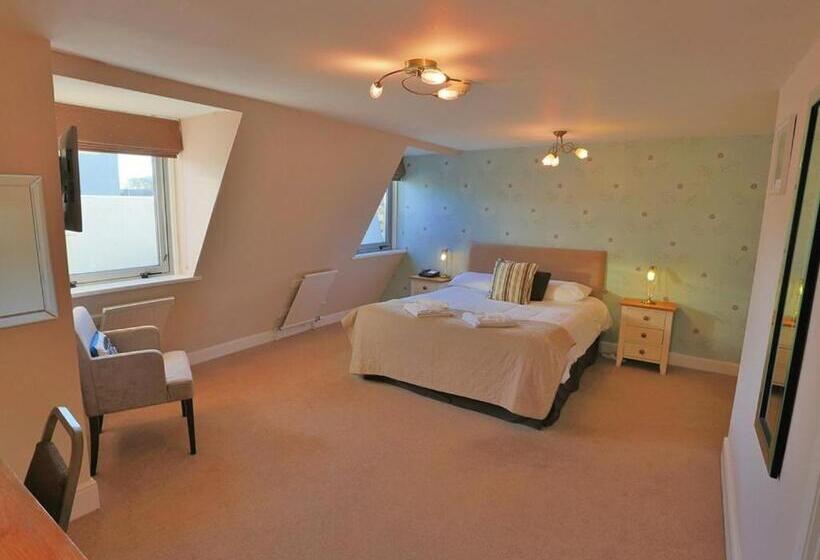 اتاق استاندارد با تخت بزرگ, Imperial Plymouth