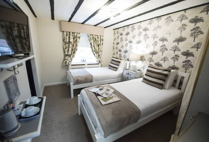 スタンダードルーム, The Pied Bull