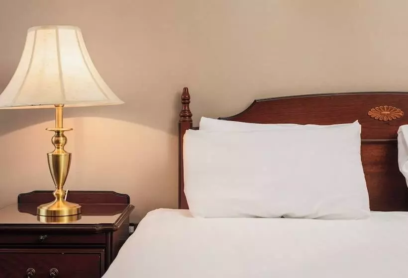 Executive-huone, Kyle Hotel ‘a Bespoke Hotel’