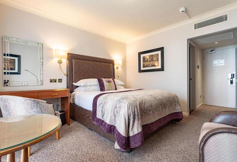 クラブルーム, Swan S Nest