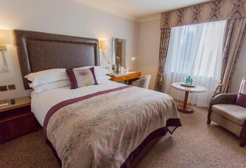 クラブルーム, Swan S Nest