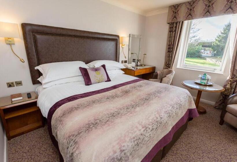 クラブルーム, Swan S Nest