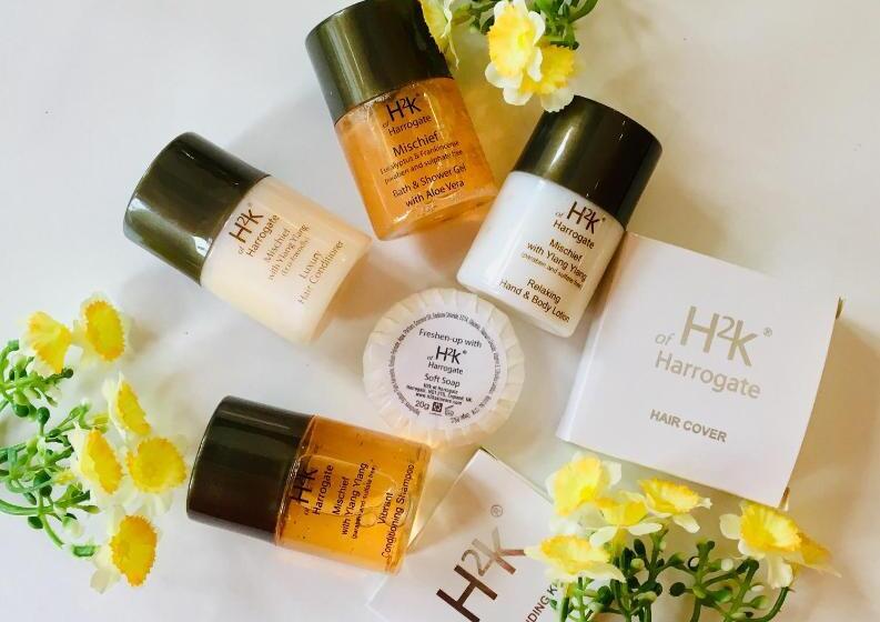 デラックスルーム, Swan S Nest