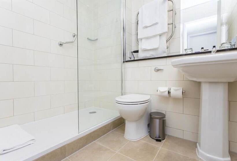 クラブルーム, Swan S Nest