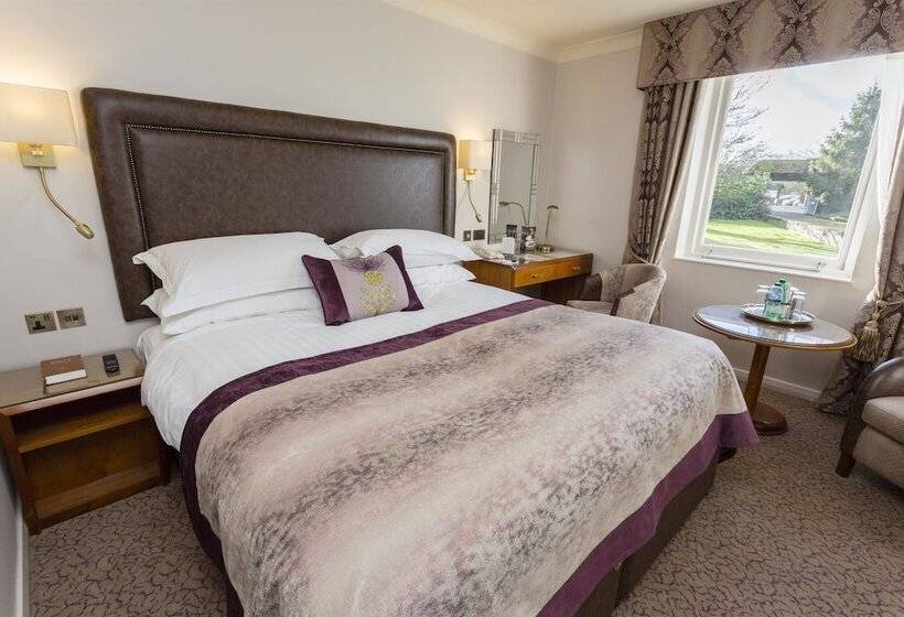 クラブルーム, Swan S Nest