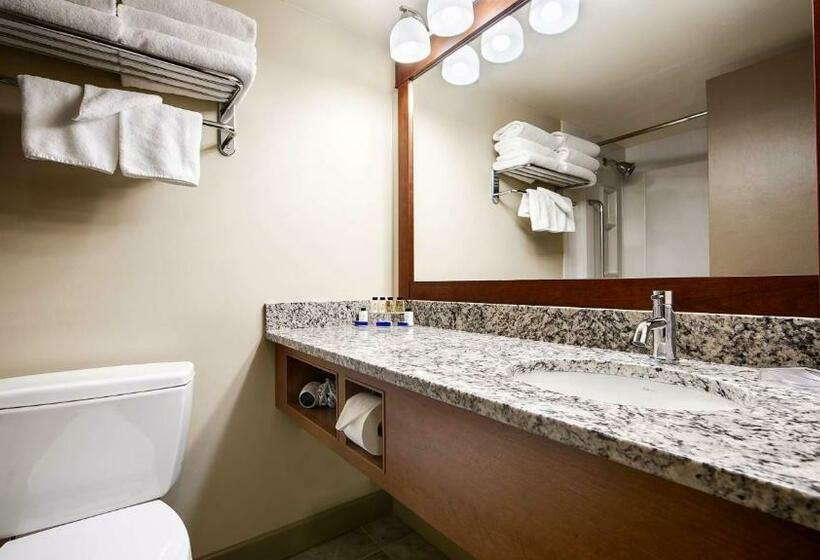 StandaardKamer, Best Western Plus Barclay