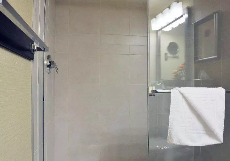اتاق استاندارد با تخت بزرگ, Best Western Premier Denham Inn & Suites