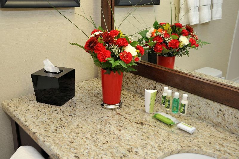 身障者適用スタンダードルーム, Best Western Premier Denham Inn & Suites