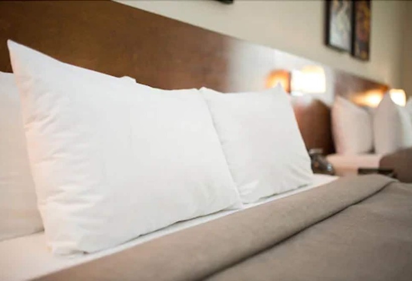 수피리어 룸, Chateau Laurier Quebec