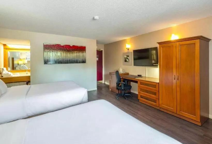 スタンダードルーム, Comfort Inn  Mont Laurier