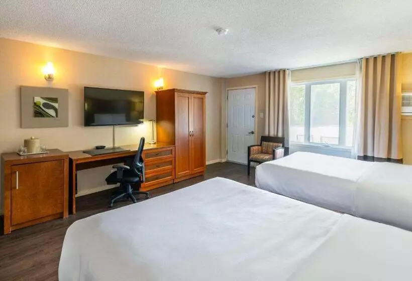 スタンダードルーム, Comfort Inn  Mont Laurier
