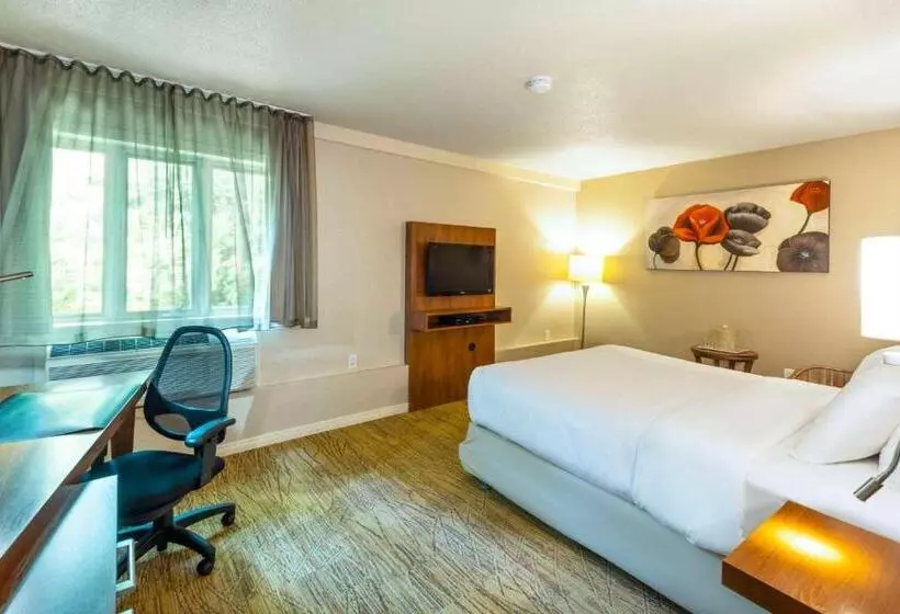 エクゼクティブルーム, Comfort Inn  Mont Laurier