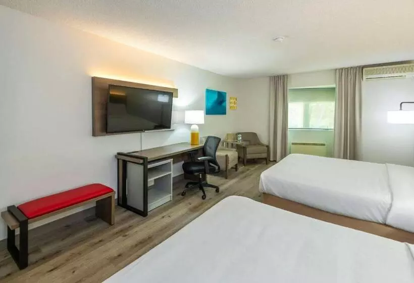 ビジネスルーム, Comfort Inn  Mont Laurier