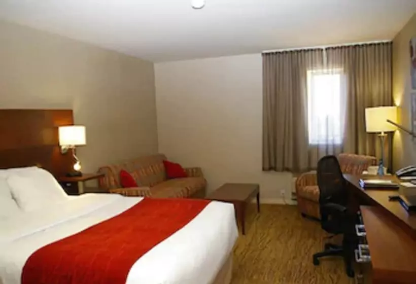 エクゼクティブルーム, Comfort Inn  Mont Laurier
