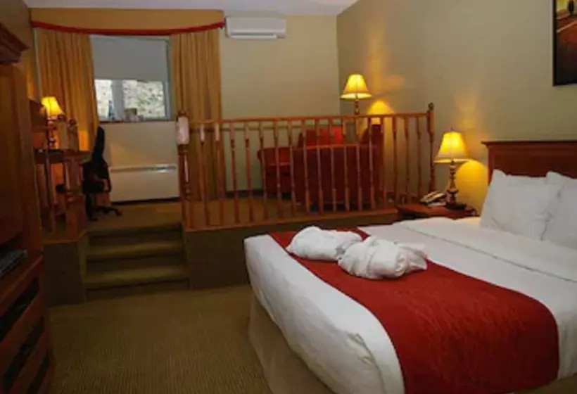 エクゼクティブルーム, Comfort Inn  Mont Laurier