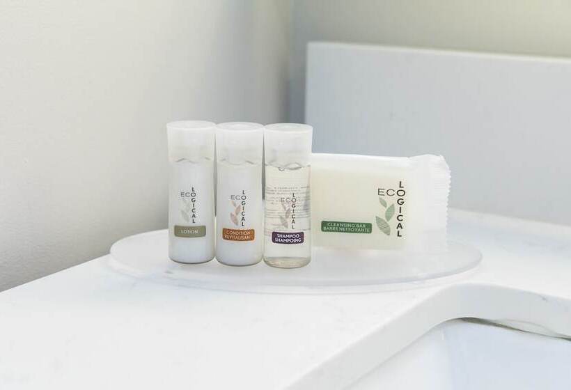 스탠다드 룸, Days Inn By Wyndham Saint John