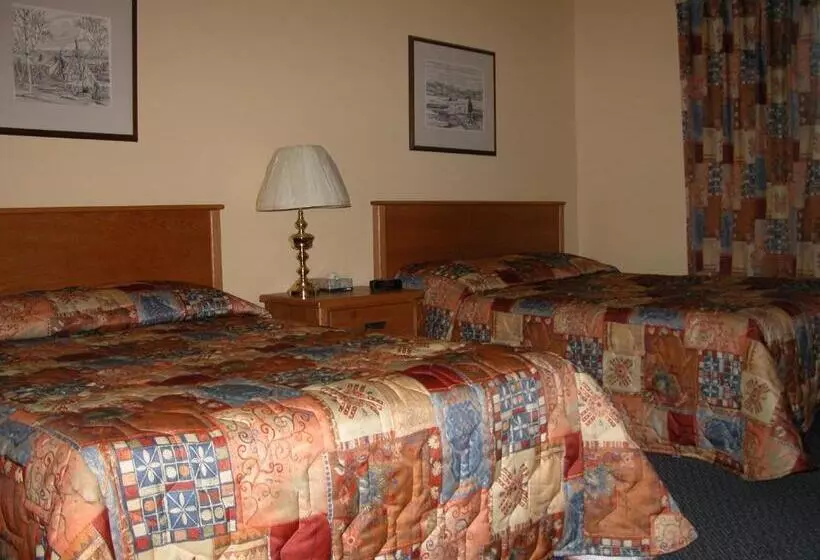 ２ダブルベッドのスタンダードルーム, Discovery Inn