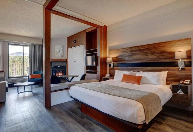 스탠다드 룸 킹사이즈 침대, Estrimont